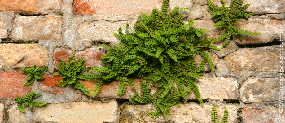 014-brick-&-fern.jpg