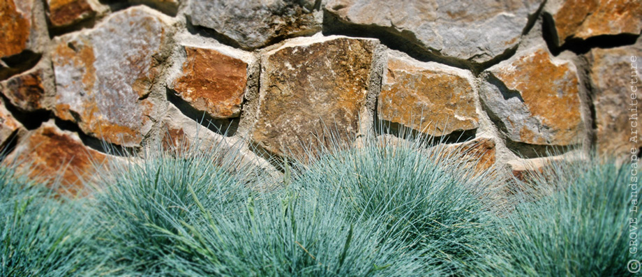 016-stone-face-and-festuca.jpg